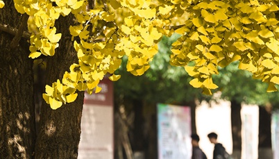 从校园走向彝乡 用青春书写基层答卷<br>校友邓松事迹入选省高校毕业生就业创业典型案例